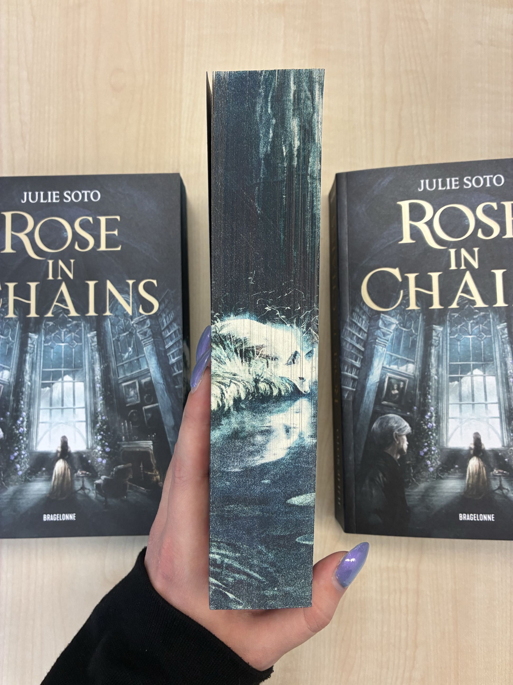 visuel du jaspage du livre