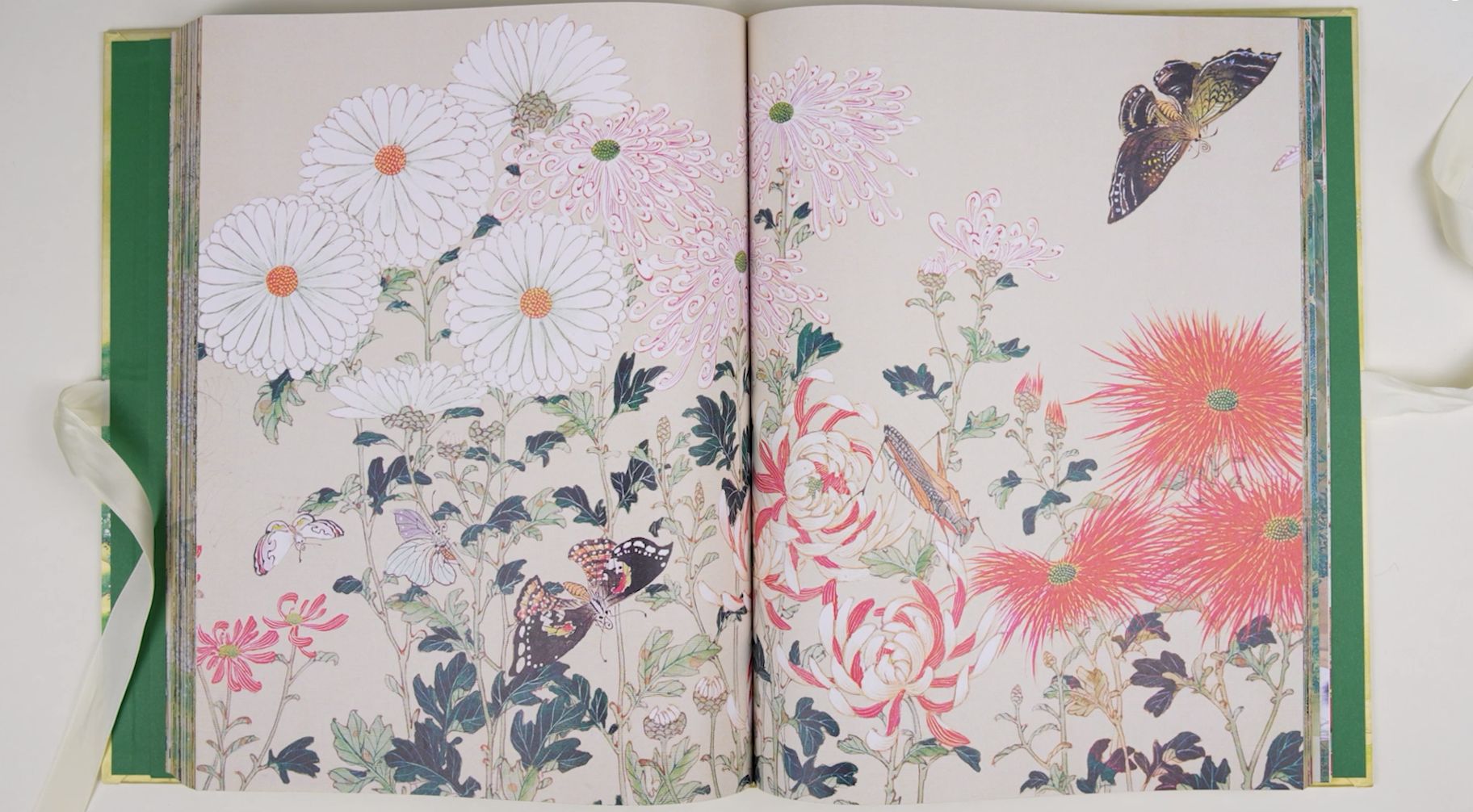 double page extraite du livre