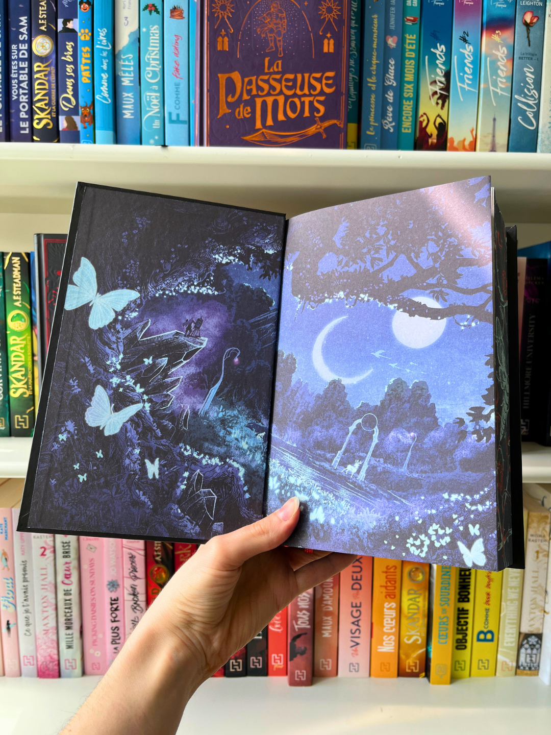 des gardes illustrées