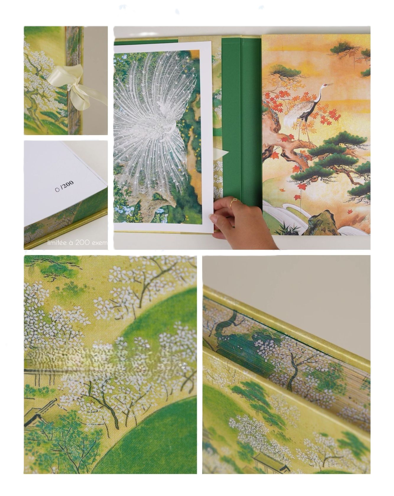 visuel du livre et de la digigraphie