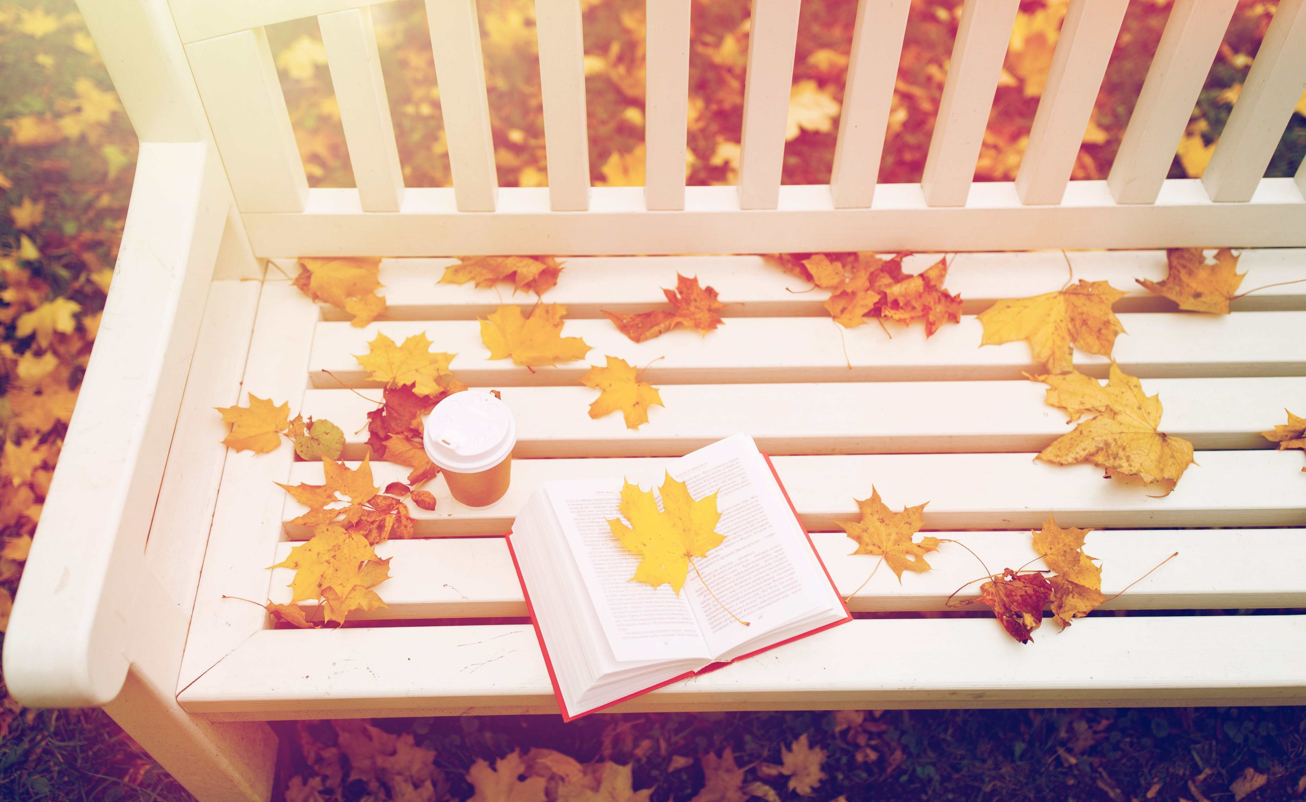 banc avec des feuilles d'automne